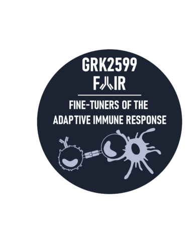 Logo_GRK2599